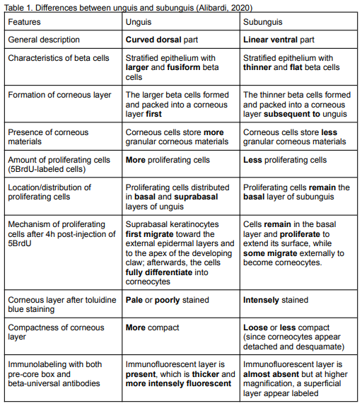 The image shows the differences between unguis and subunguis.
