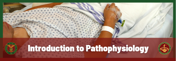 Intro to Pathophysiology