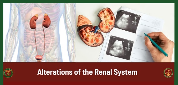 Alterations of the Renal System
