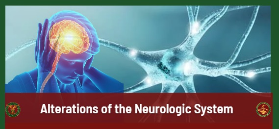 Neurologic System