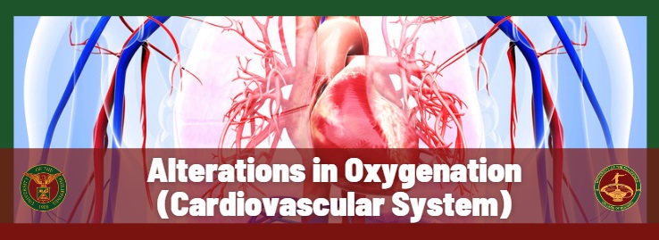 Cardiovascular System