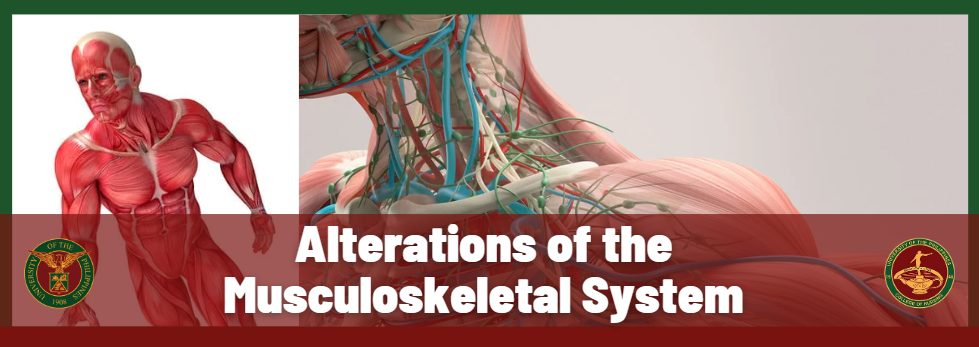 Musculoskeletal System